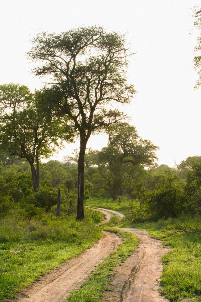 Buffelshoek Tented Camp มันเยเลติเกมรีเซิร์ฟ ภายนอก รูปภาพ